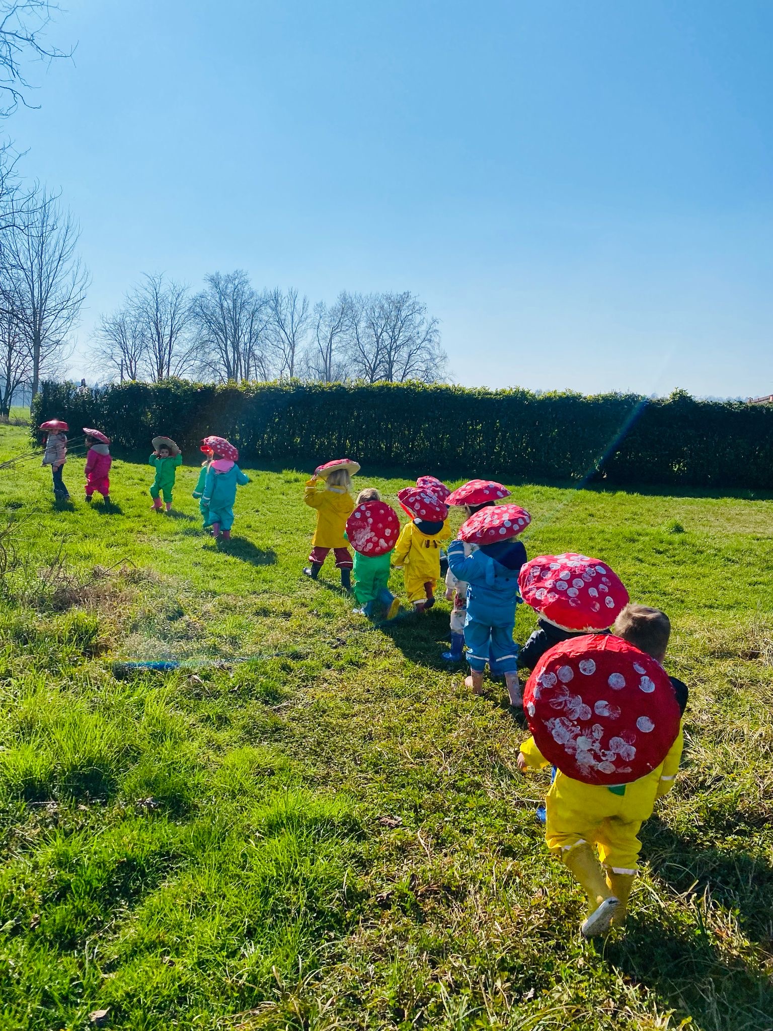 pedagogia della natura1