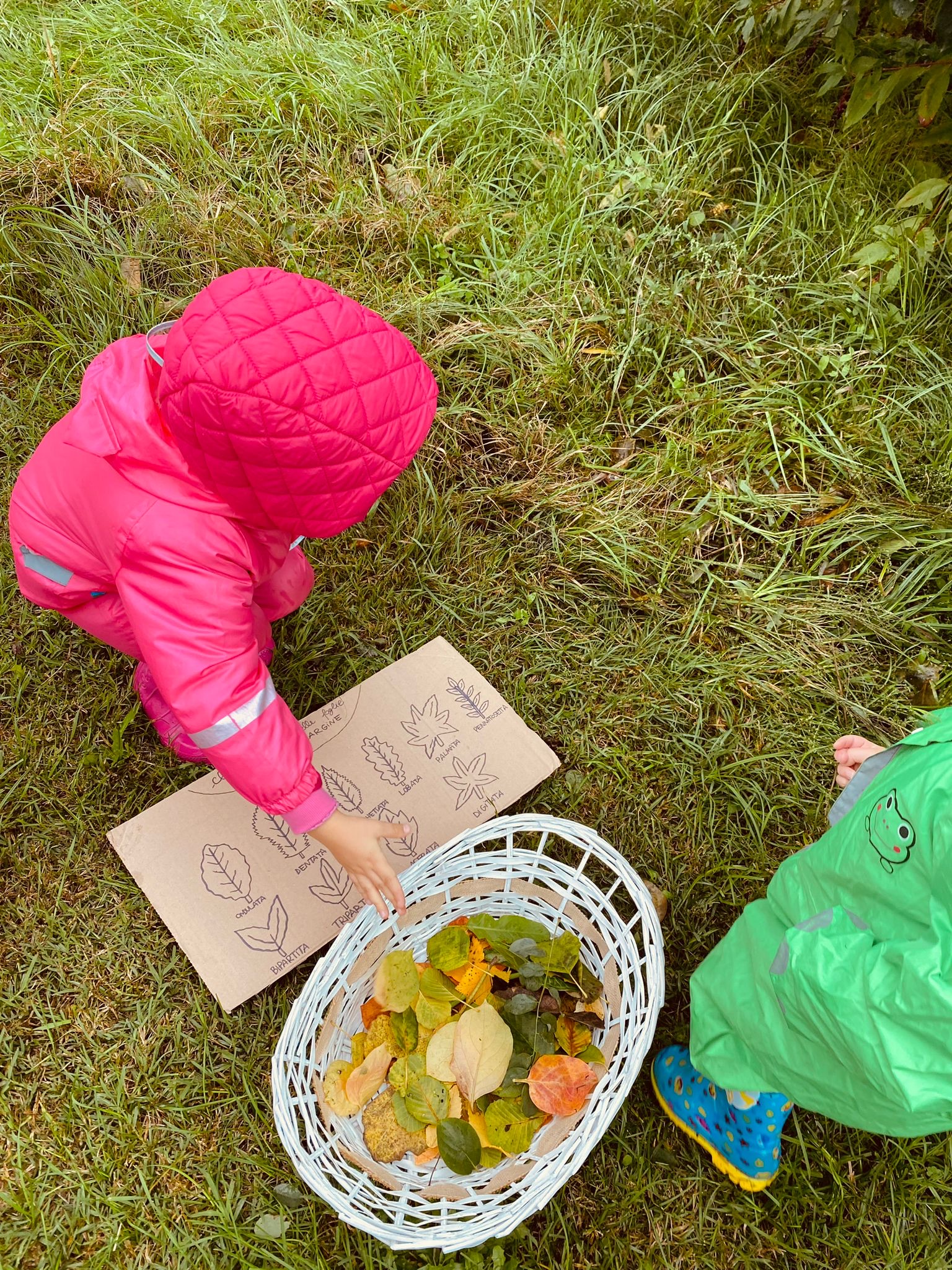 pedagogia della natura8